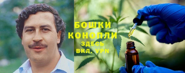 мдпв Богородицк
