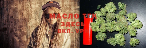 мдпв Богородицк