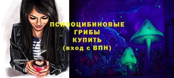 мдпв Богородицк